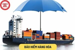 bảo hiểm hàng hóa và tài sản cửa hàng