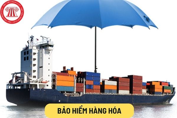 bảo hiểm hàng hóa và tài sản cửa hàng - Hình 1
