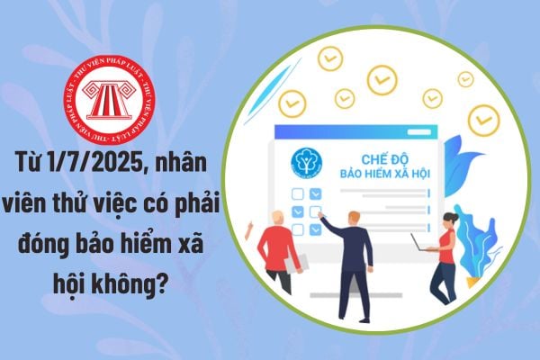 bảo hiểm xã hội cho nhân viên thu ngân - Hình 5