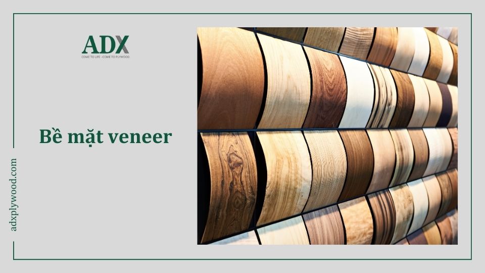 bề mặt veneer - Hình 3