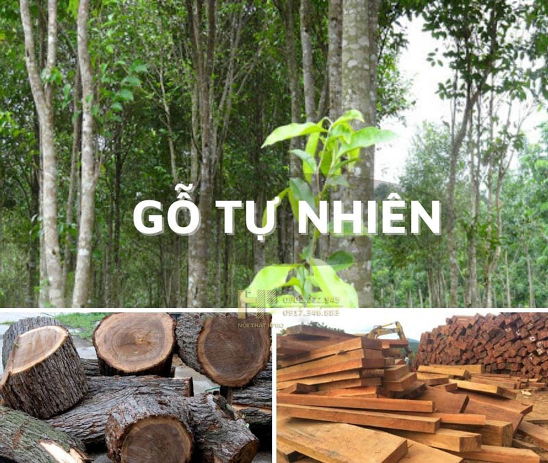 các loại gỗ tự nhiên - Hình 4