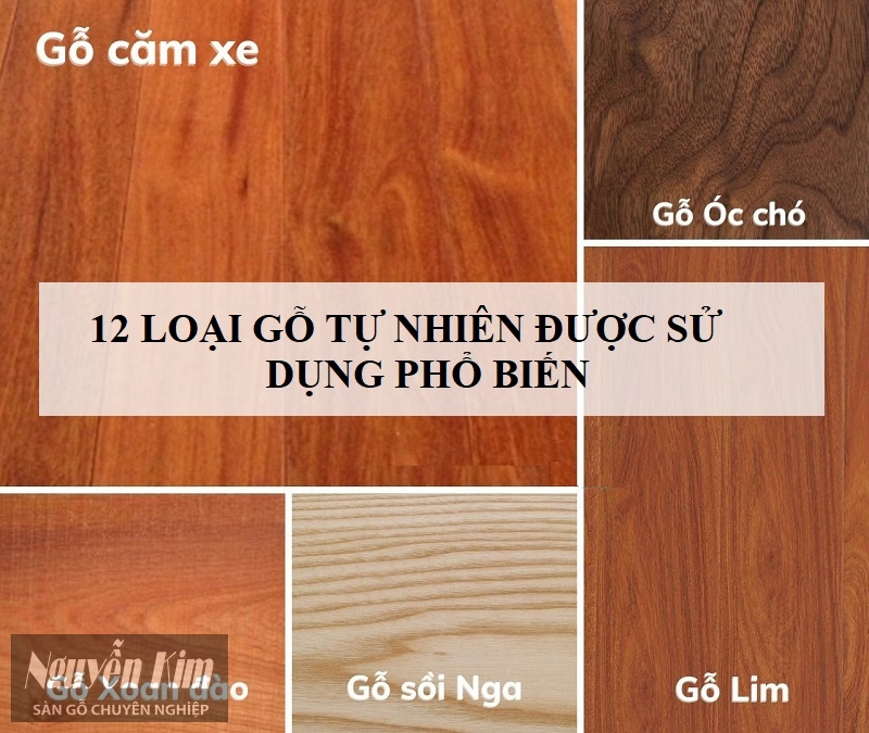 các loại gỗ tự nhiên - Hình 5