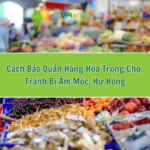 Cách chống ẩm mốc hàng tạp hóa: Giải pháp toàn diện bảo vệ hàng hóa khỏi nấm mốc cách chống ẩm mốc hàng tạp hóa