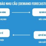 Cách Dự Báo Nhu Cầu Hàng Hóa: Chiến Lược Toàn Diện Từ Dữ Liệu Đến Thực Thi cách dự báo nhu cầu hàng hóa