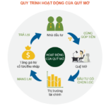 Cách huy động vốn mở cửa hàng: Chiến lược toàn diện từ kế hoạch đến thành công cách huy động vốn mở cửa hàng