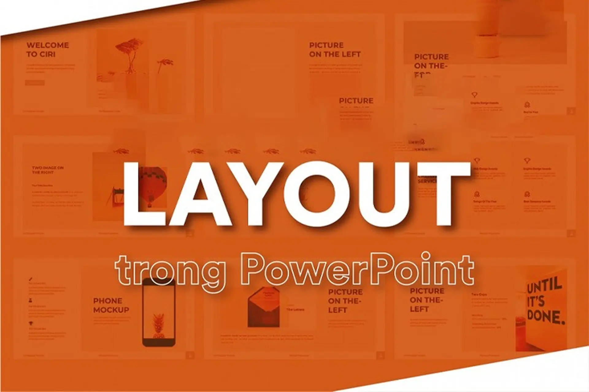 cách thay đổi layout theo mùa - Hình 2