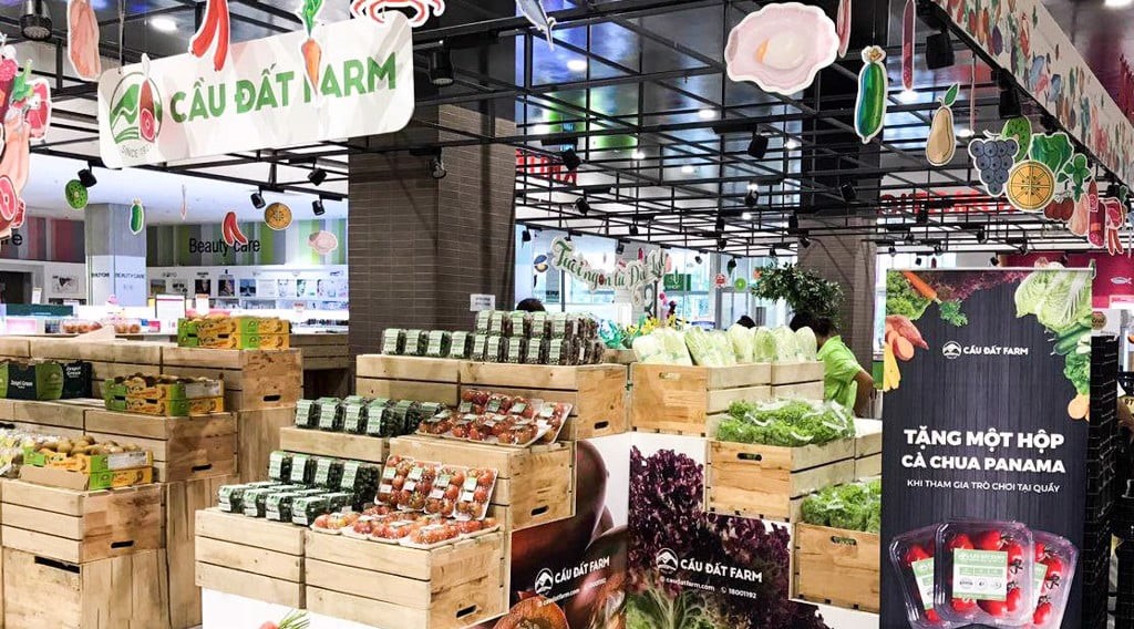 cửa hàng tạp hóa bán hàng hữu cơ - Hình 2