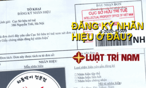 đăng ký nhãn hiệu cho cửa hàng tạp hóa