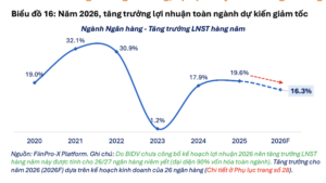 dự báo xu hướng kinh doanh tạp hóa 2026