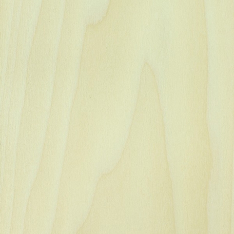 gỗ bạch dương - Hình 4
