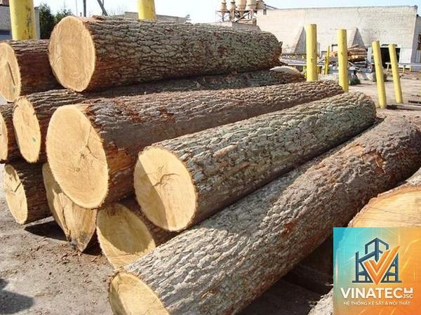 gỗ cao su có tốt không - Hình 5