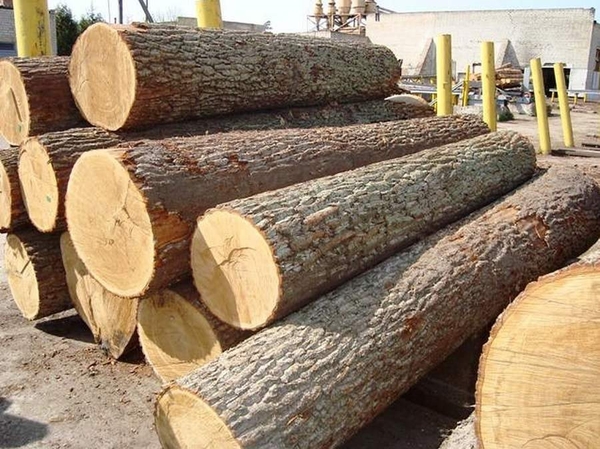 gỗ cao su có tốt không - Hình 5