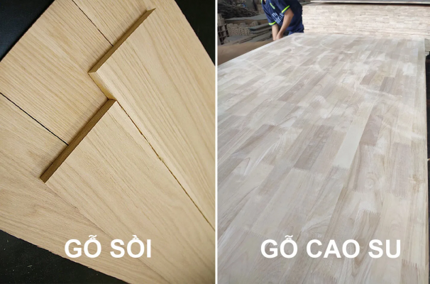 gỗ cao su và gỗ sồi - Hình 3