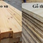 Gỗ Cao Su và Gỗ Thông: So Sánh Chi Tiết, Ưu Nhược Điểm và Ứng Dụng Thực Tế gỗ cao su và gỗ thông
