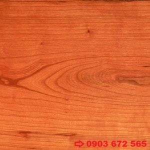 gỗ cherry