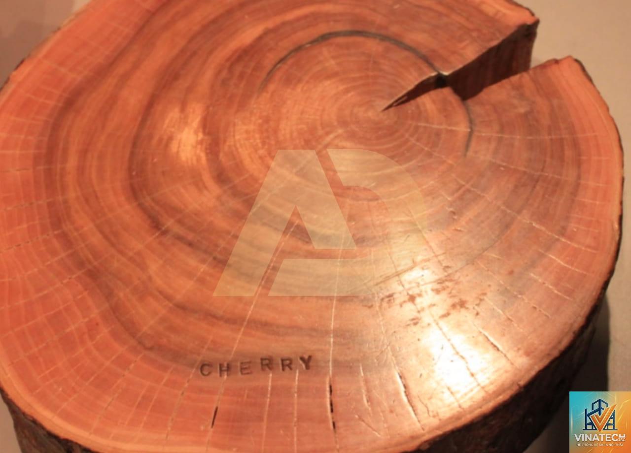 gỗ cherry là gì - Hình 4