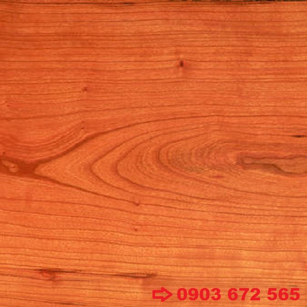 gỗ cherry