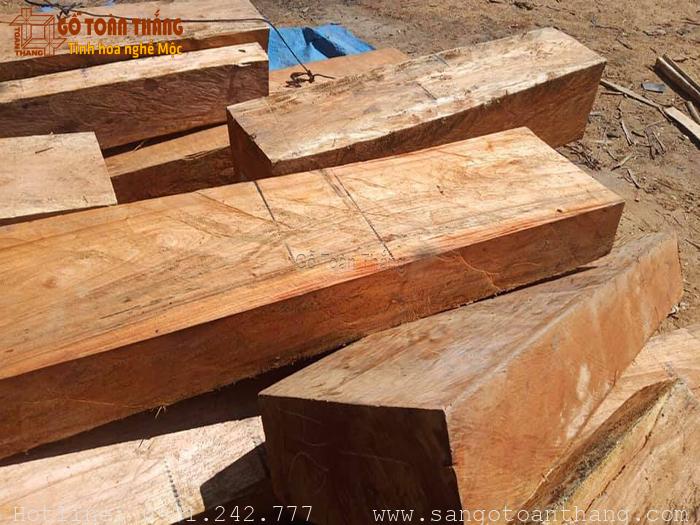 gỗ hương - Hình 2
