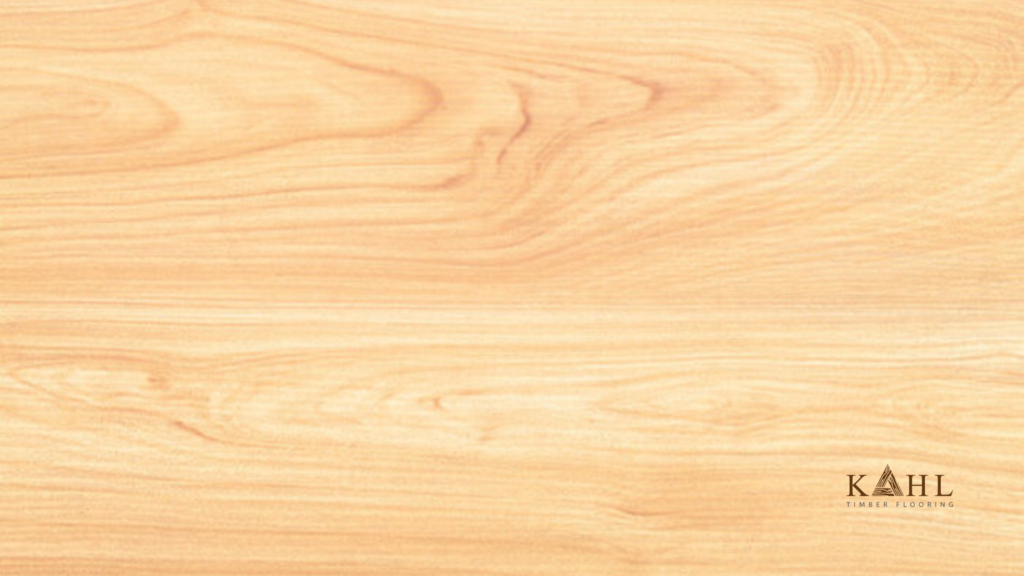 gỗ maple - Hình 3