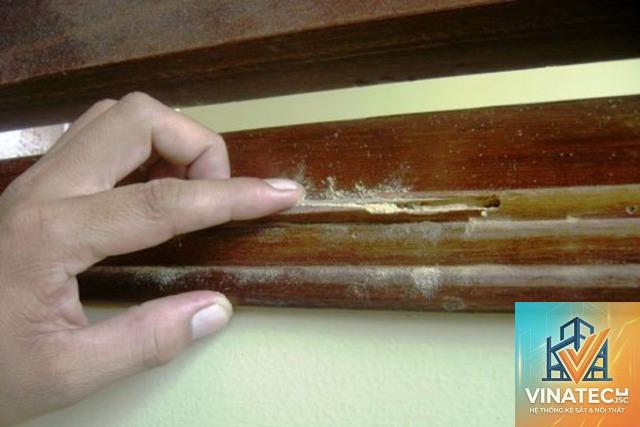 gỗ mdf có bị mối mọt không - Hình 3