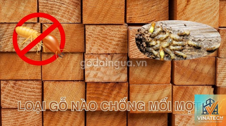 gỗ nào chống mối mọt tốt - Hình 3
