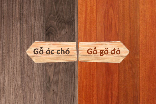 gỗ óc chó và gỗ gõ đỏ - Hình 2