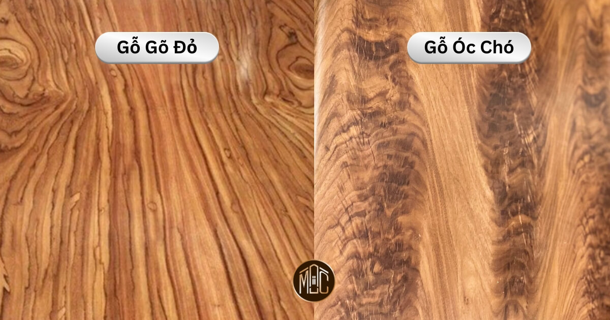 gỗ óc chó và gỗ gõ đỏ - Hình 4