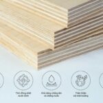 gỗ plywood có tốt không