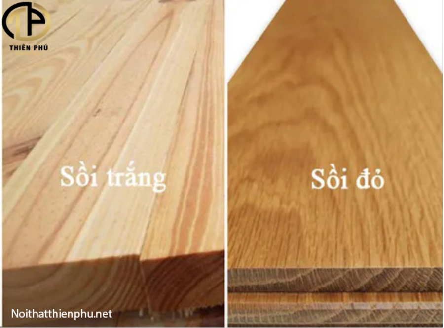 gỗ sồi là gì - Hình 3