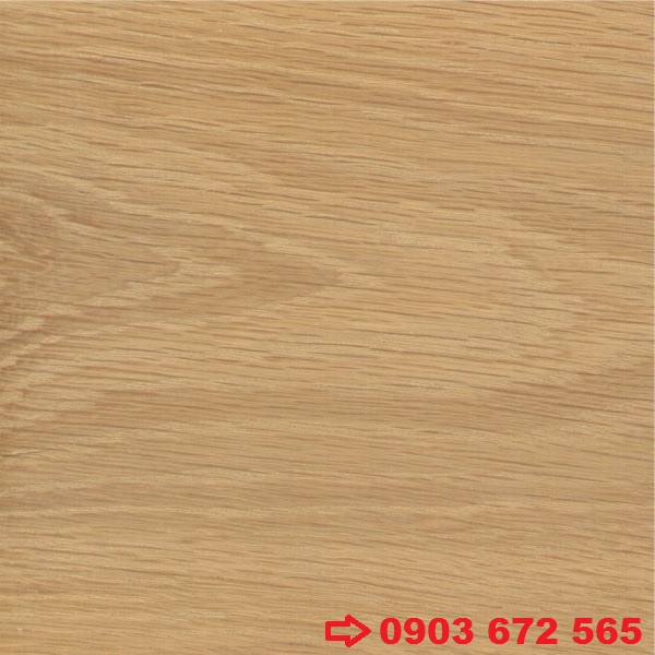 gỗ sồi trắng - Hình 5