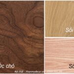 So Sánh Gỗ Sồi Và Gỗ Óc Chó: Lựa Chọn Nào Tối Ưu Cho Nội Thất Cao Cấp? gỗ sồi và gỗ óc chó
