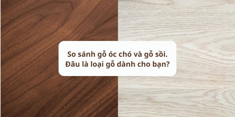 gỗ sồi và gỗ óc chó - Hình 5