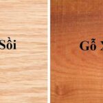 Gỗ sồi và gỗ xoan đào: So sánh chi tiết, ưu nhược điểm và ứng dụng thực tế gỗ sồi và gỗ xoan đào