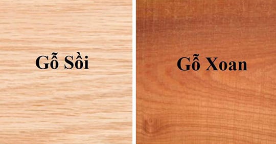 gỗ sồi và gỗ xoan đào