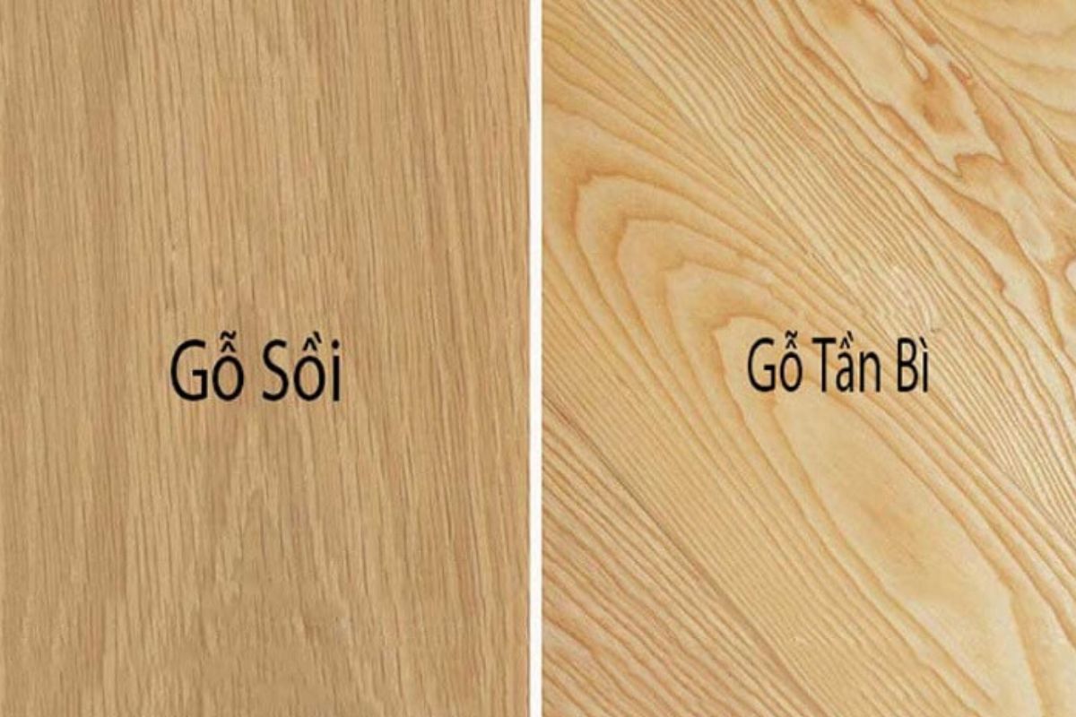 gỗ tần bì - Hình 2