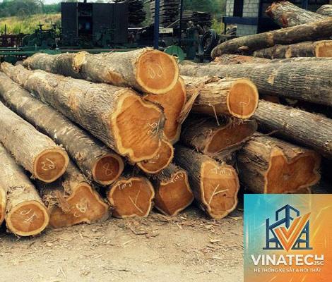 gỗ teak là gì - Hình 3