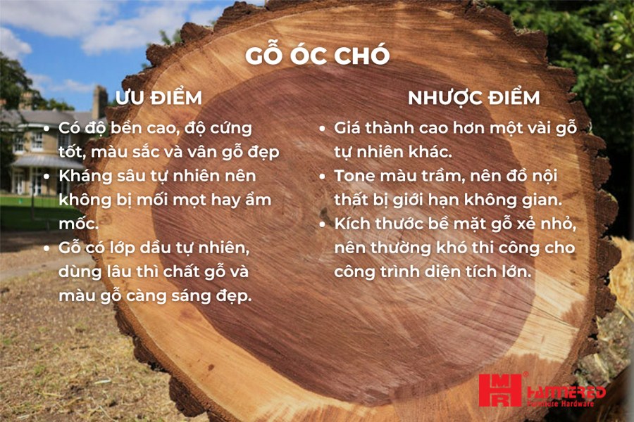 gỗ tự nhiên có bền không - Hình 2