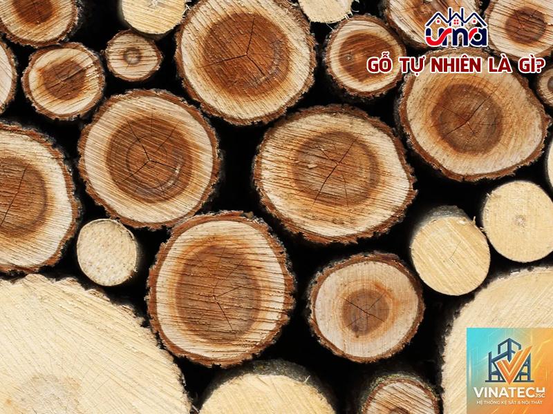 gỗ tự nhiên là gì