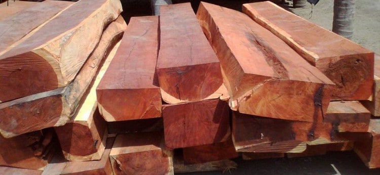 gỗ tự nhiên phổ biến - Hình 2