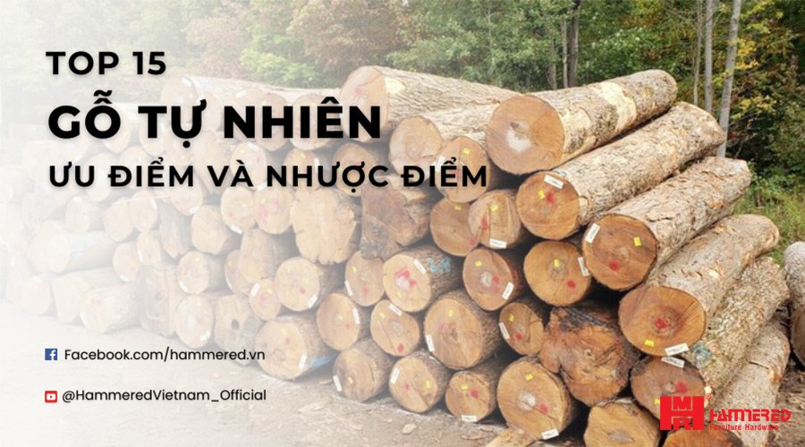 gỗ tự nhiên phổ biến - Hình 3