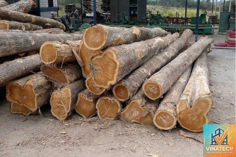 gỗ xoan đào có tốt không - Hình 5