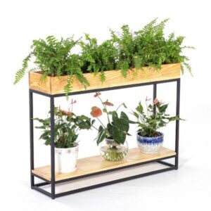 kệ sắt sân vườn