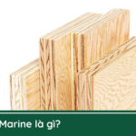 Marine Plywood Là Gì? Đặc Điểm, Ứng Dụng Và Cách Phân Biệt Ván Ép Chống Nước Cao Cấp marine plywood là gì