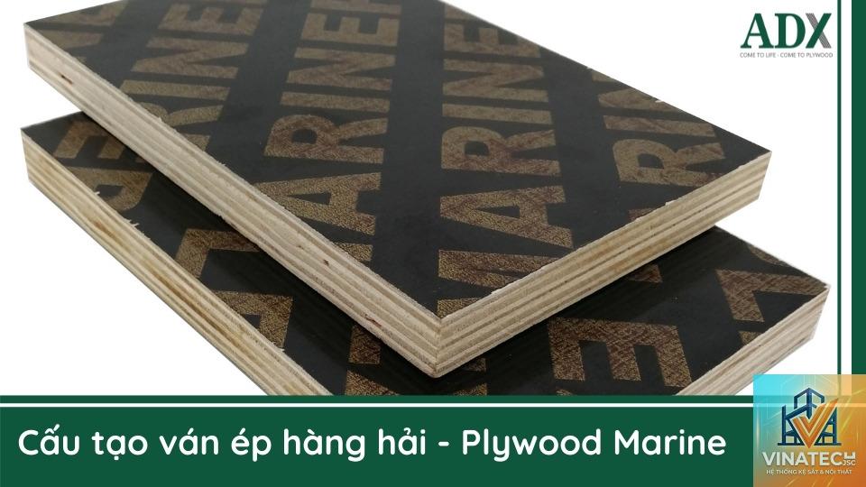 marine plywood là gì - Hình 2