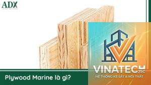 marine plywood là gì