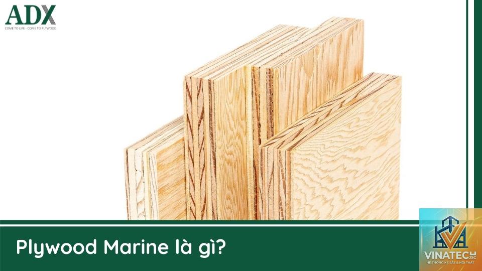 marine plywood là gì