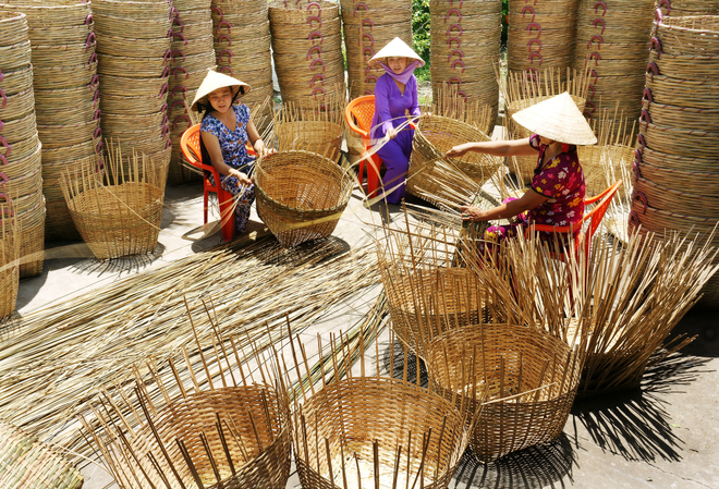 mây tre đan - Hình 1