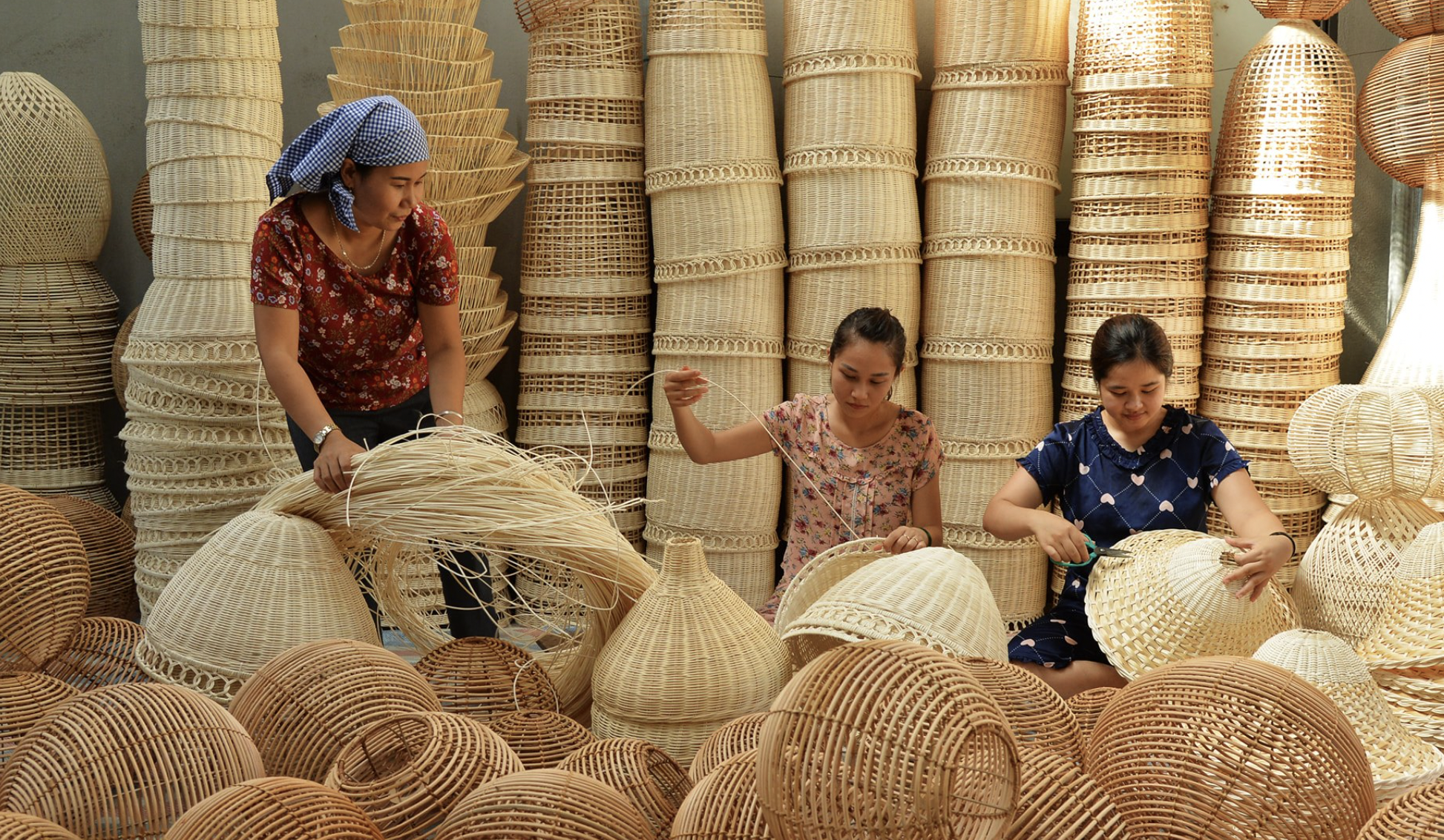 mây tre đan - Hình 5