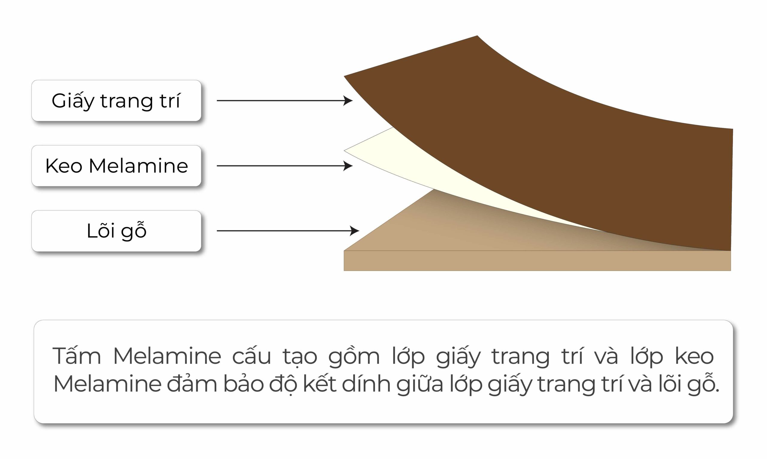 melamine là gì - Hình 4