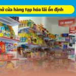 Bí quyết mở cửa hàng tạp hóa mùa Tết 2025: Kinh nghiệm và chiến lược thành công mở cửa hàng tạp hóa mùa Tết 2025